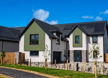 Ballaganwoods,Killearn5