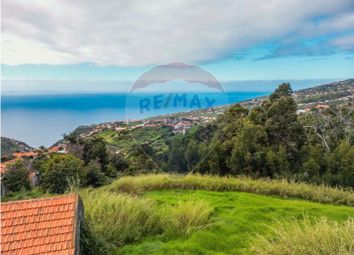 Thumbnail Property for sale in Calheta, Calheta (Madeira), Madeira