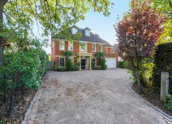 5 Bedroom  for rent