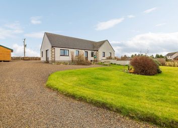 Thumbnail 4 bedroom detached house for sale in Greenland, Castletown, Thurso
