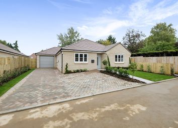 Thumbnail Detached bungalow for sale in Park View, Moulton, Northampton