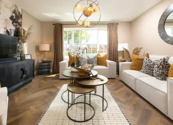 Showhome Photography