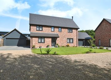 Thumbnail 4 bed detached house for sale in The Crossroads, Brome, Eye