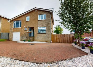 Thumbnail Detached house for sale in Ladywell Road, Motherwell