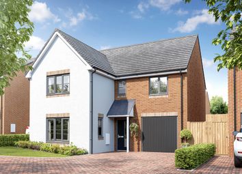 Thumbnail Detached house for sale in "The Coltham - Plot 32" at Tunstall Bank, Sunderland