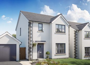 Thumbnail 3 bedroom detached house for sale in Southwood Meadows, Buckland Brewer, Bideford