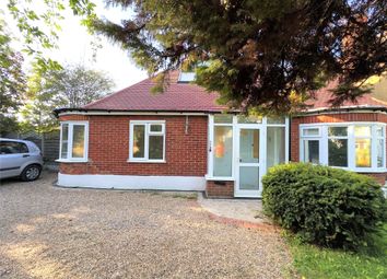 Thumbnail 4 bed bungalow for sale in Alberta Avenue, Sutton, Surrey