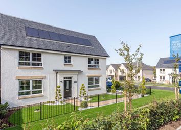 Thumbnail Detached house for sale in "Brechin" at 1 Sequoia Grove, Cambusbarron, Stirling