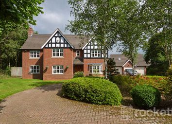 10_Fairhaven_Gwi_664