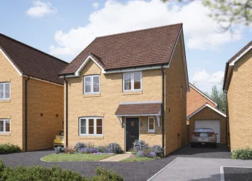 Ds11835 [Lh] 05 - Mylne Plot 956_Web