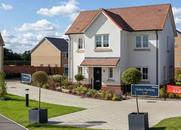 Showhome Photography