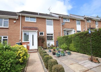 Thumbnail Terraced house for sale in Marypole Walk, Exeter