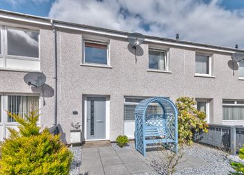 Thumbnail Terraced house for sale in Pitreuchie Place, Forfar, Angus