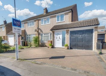 Thumbnail Semi-detached house for sale in Ketleys, Galleywood, Chelmsford