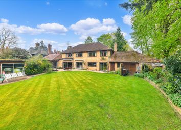 Thumbnail Detached house for sale in The Avenue, Newmarket, Suffolk