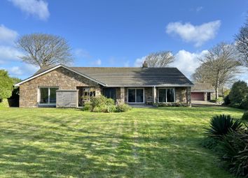 Thumbnail Bungalow for sale in Rosehill, Penzance