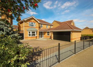 Thumbnail 4 bed detached house for sale in Meadow Sweet Road, Rushden, Northamptonshire