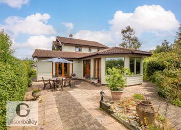 Thumbnail Detached house for sale in Golf Links Road, Brundall