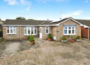 Thumbnail Bungalow for sale in Highfield Rise, Althorne, Chelmsford, Essex
