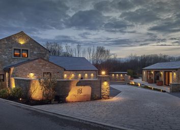 Brook Bottom By Night