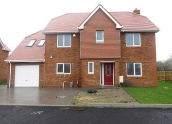 Thumbnail 5 bed detached house for sale in Salisbury Road, Downton, Salisbury
