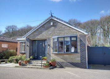 Property listing in Hull, East Riding of Yorkshire