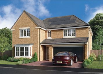 Thumbnail 5 bedroom detached house for sale in "The Denford" at Elm Avenue, Pelton, Chester Le Street