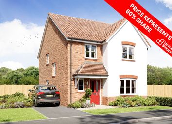Thumbnail 4 bedroom semi-detached house for sale in "The Chiddingstone." at Greenfields Lane, Market Drayton