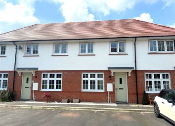 Thumbnail Terraced house for sale in Hawkweed Close, Newton Abbot