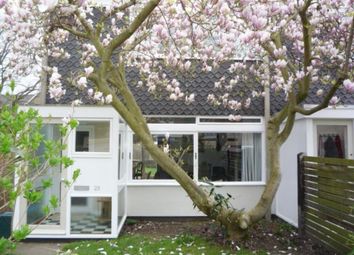 3 Bedroom  for rent