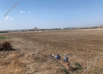 Thumbnail Land for sale in Athienou, Larnaca, Cyprus