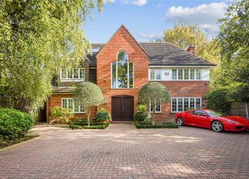 Thumbnail Detached house for sale in Milnthorpe Road, London