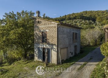 Thumbnail Farmhouse for sale in Strada Provinciale 7, Cinigiano, Grosseto, Tuscany, Italy