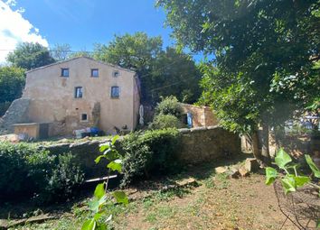 Thumbnail 3 bed farmhouse for sale in Peyrolles, Languedoc-Roussillon, 11190, France