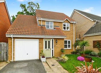 Thumbnail Detached house for sale in Narrow Brook, Church Road, Ten Mile Bank, Downham Market