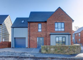 Thumbnail Detached house for sale in 7 Town Foot Rise, Shilbottle, Alnwick, Northumberland