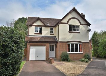 Thumbnail Detached house for sale in The Burlands, Feniton, Honiton