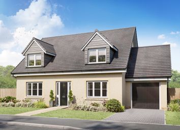 Thumbnail Detached house for sale in "Wallace" at 1 Sequoia Grove, Cambusbarron, Stirling