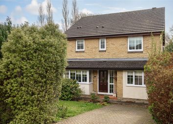 Thumbnail Detached house to rent in Abinger Drive, Redhill