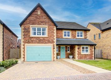 Thumbnail Detached house for sale in Stein Grove, Stainsby Hall Farm, Middlesbrough