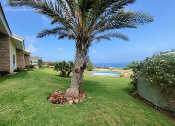 Thumbnail Bungalow for sale in Neo Chorio, Cyprus