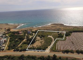 Thumbnail Commercial property for sale in Ayia Napa, Famagusta, Cyprus