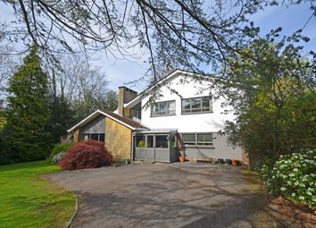 Thumbnail Detached house for sale in Close To Amenities, Storrington