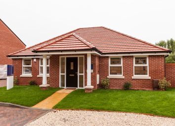 Thumbnail 3 bedroom bungalow for sale in "The Wittering" at Church Acre, Oakley, Basingstoke