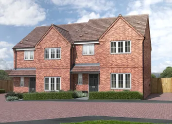 Cal271 Birchwood Farnham Fennel Plot 12 001
