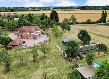 Aerial Shot