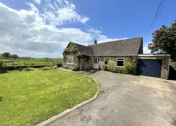 Thumbnail 3 bed detached bungalow to rent in North Brewham, Bruton