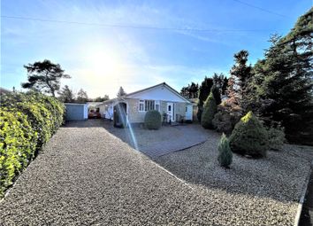 Thumbnail 3 bed bungalow for sale in Compton Beeches, St. Ives, Ringwood