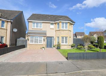 Thumbnail Detached house for sale in Sauchie Place, Kinglassie, Lochgelly