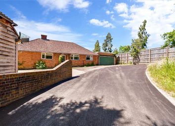 Thumbnail 3 bed detached bungalow for sale in Coolham Road, Brooks Green, West Sussex